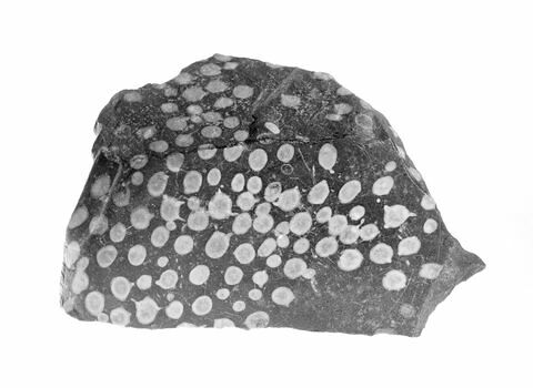 vase, image 2/4