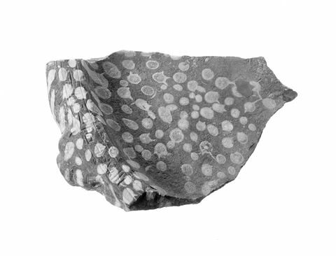vase, image 3/4