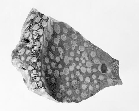 vase, image 4/4