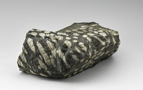 vase, image 1/4