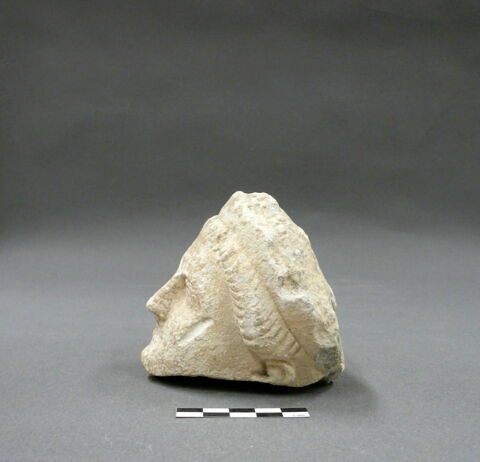 statue, image 2/2