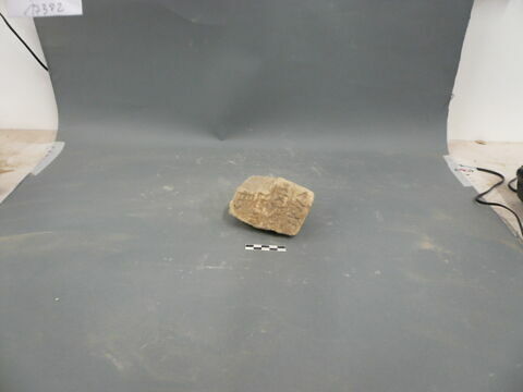 brique, image 3/3