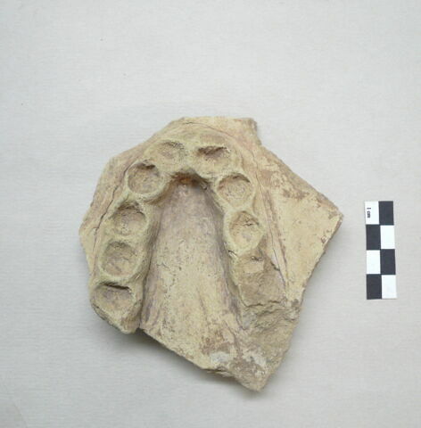 vase, image 1/1