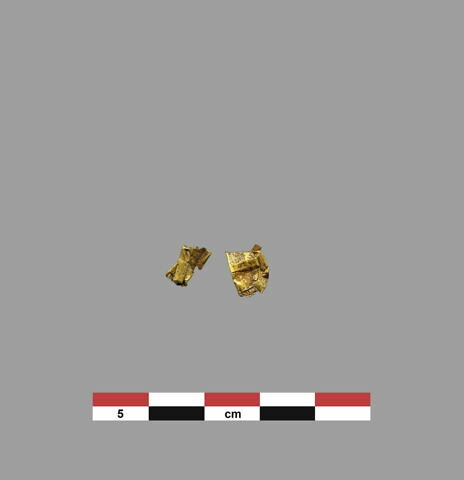 fragment, image 1/1