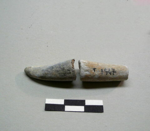perle, image 2/2