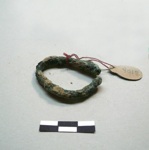 anneau  ; os, image 3/17