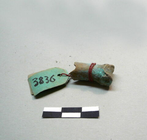 anneau  ; os, image 5/17