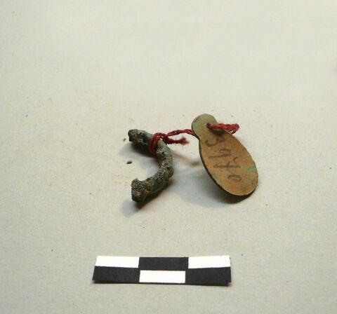 anneau  ; os, image 9/17