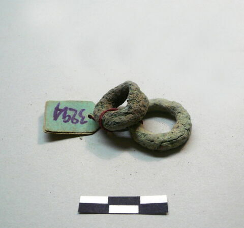 anneau  ; os, image 11/17