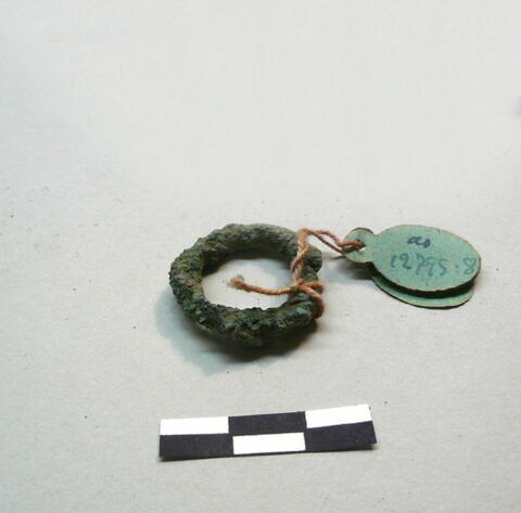 anneau  ; os, image 15/17