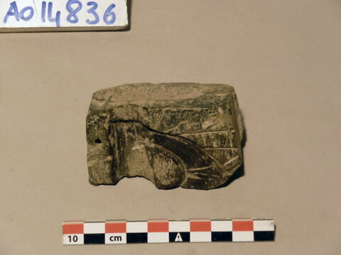 moule, image 1/1