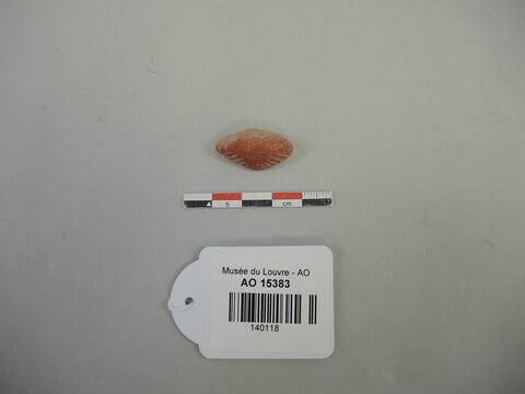 perle, image 1/1