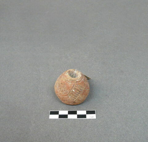 fusaïole, image 2/2