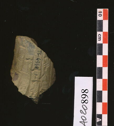 clou de fondation, image 1/1