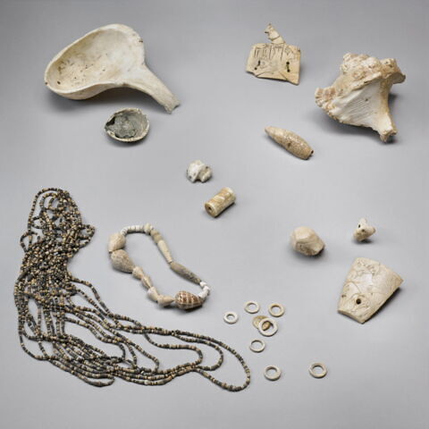 coquillage, image 4/10