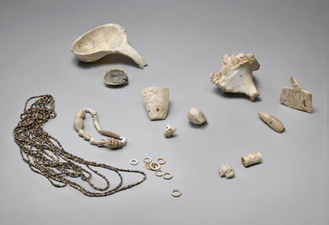 coquillage, image 5/8