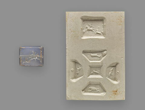 cachet, image 2/6
