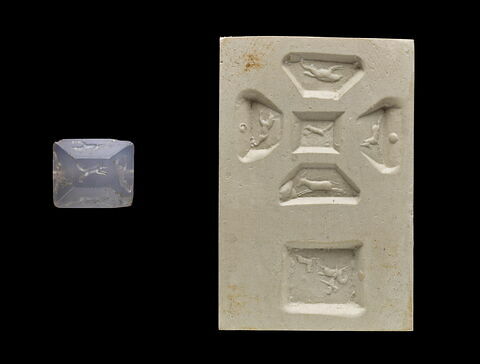 cachet, image 3/6