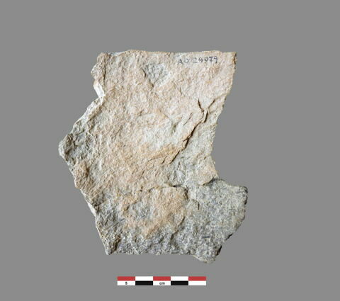 vase ; fragment, image 4/7