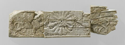 plaquette