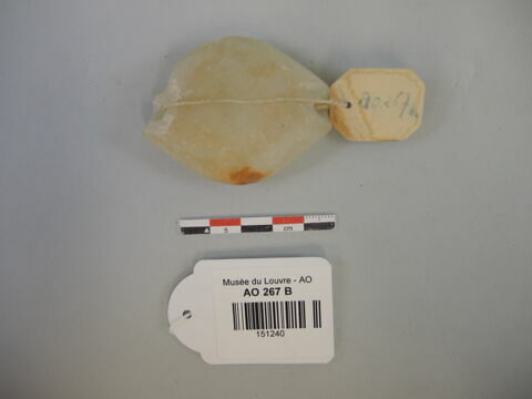 perle, image 1/1