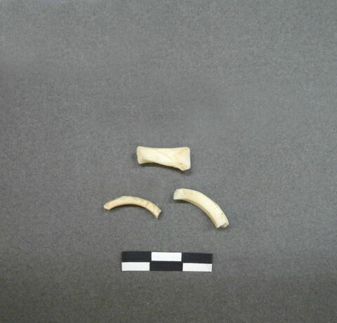 bague, image 1/1