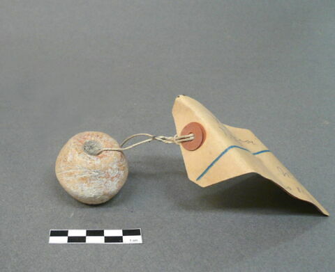 fusaïole, image 1/1