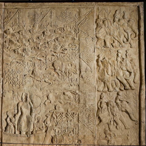 Chasse aux sangliers, image 1/3