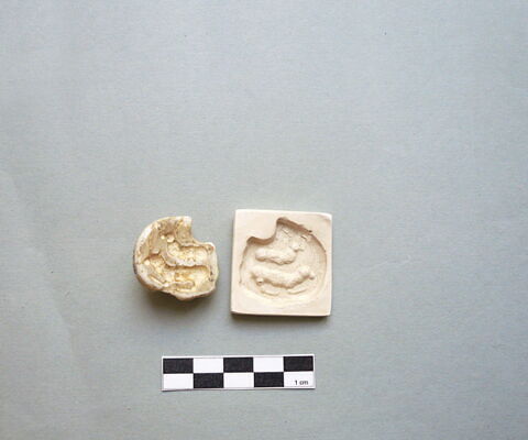 Cachet : tête de lion, image 7/8