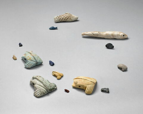 poids, image 2/2
