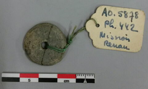 fusaïole, image 2/2