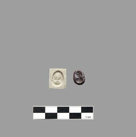 cachet, image 1/2