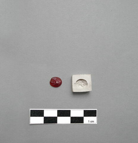 cachet, image 1/2