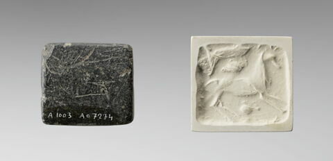 cachet, image 2/6