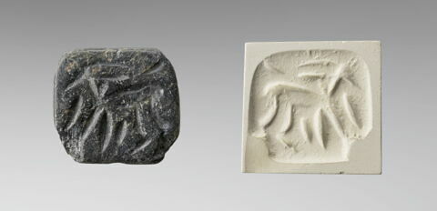cachet, image 1/6