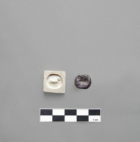 cachet, image 1/2