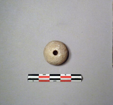 fusaïole, image 1/1