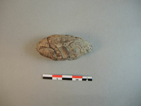 bulle de scellement, image 6/8