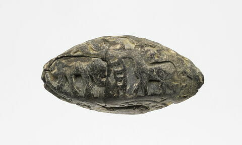bulle de scellement, image 1/8