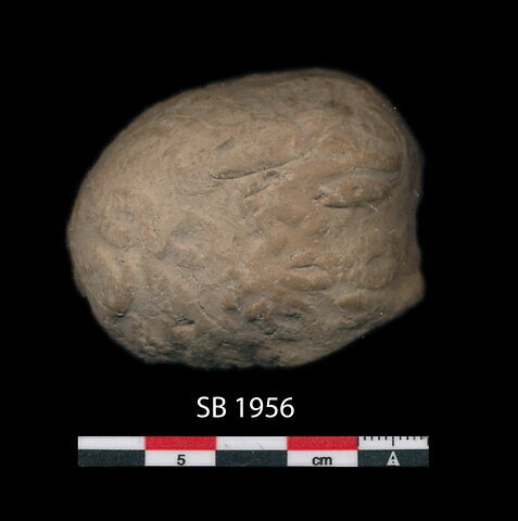 bulle de scellement, image 1/3