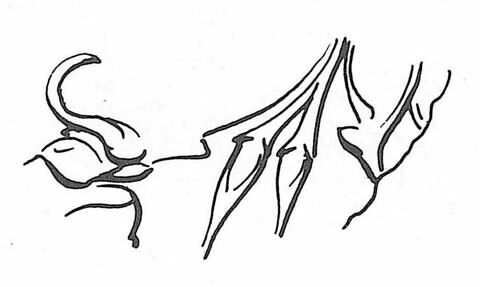 scellement, image 3/3