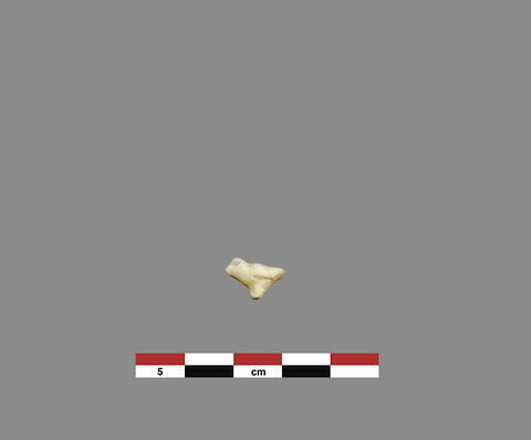 figurine ; amulette, image 1/1