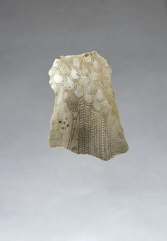 coquillage, image 3/4