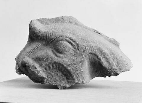 Fragment de relief : tête de dragon-serpent, image 3/3
