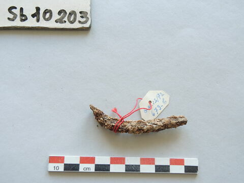 fragment, image 2/2