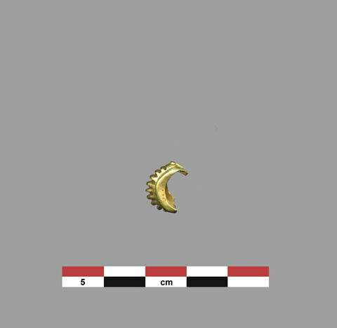 perle, image 1/1