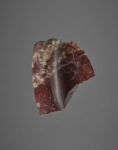 vase, image 1/5