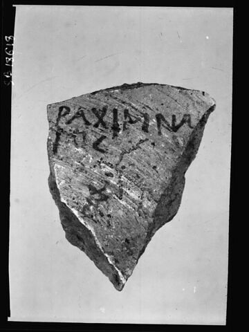 ostracon, image 2/2