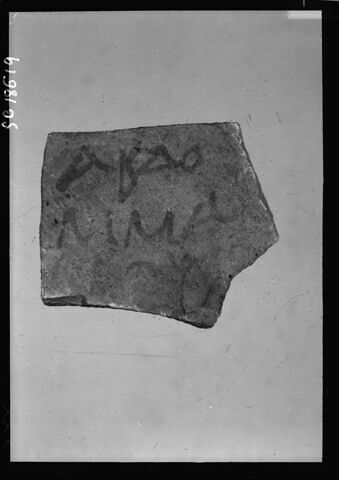 ostracon, image 3/3