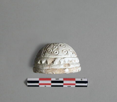 fusaïole, image 2/2